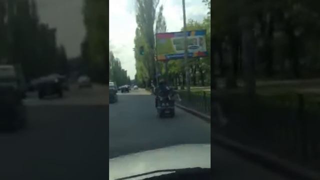 Будни Шарика