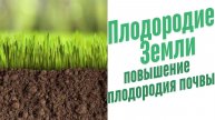 Из чего складывается плодородие почвы?