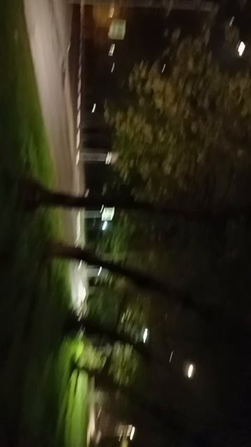 scene_output.mp4