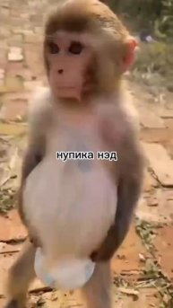 🤣🤣🤣