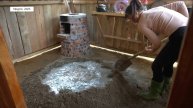 Дорис 17. Дорис заливает пол на кухне, делает отмостку вокруг кухни и кормит гусей