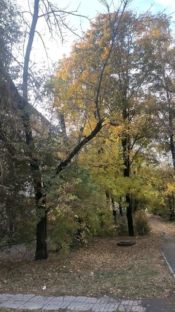 Осень начинается