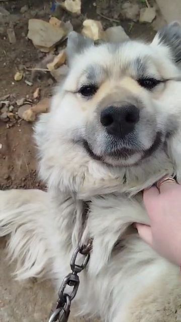 Айна красотка наша.