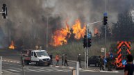 Спасаются бегством: в Израиле —лесные пожары, есть подозрения на поджоги
