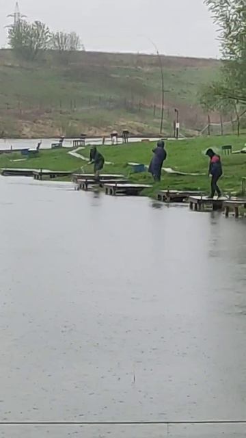 Основной водоём.
