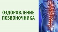 Полезное утреннее упражнение для позвоночника.