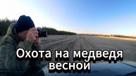Охота на медведя весной