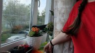 мир труд май, майкие праздники, жизнь в деревне