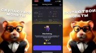 Новые КОМБО КАРТЫ в Хамстер Комбат 16-17 Июля! КАК ПОЛУЧИТЬ МОНЕТЫ В HAMSTER KOMBAT! 5 МИЛЛИОНОВ