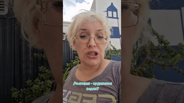 Масковия- ордынская земля?