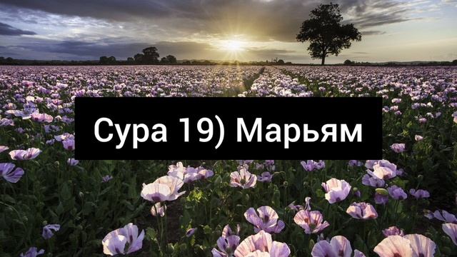 Сура 19) Марьям