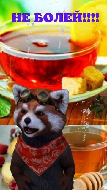 Не болей выздоравливай скорей!