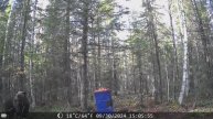 ппрощание с осенью, уход в долгую зиму