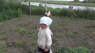 Трудятся на лагерном огородчике. 15. 06. 2016