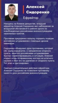Алексей Сидоренко Наградной лист Z