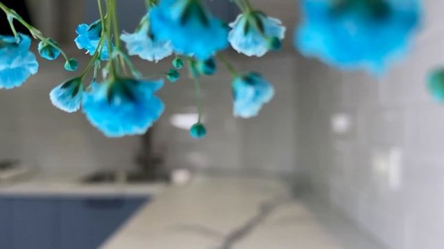 Красивая и гармоничная кухня «Квадро» в нежном оттенке «Лунный свет»