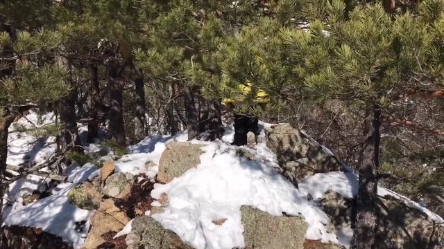 Гора трезубец. 21.02.21
