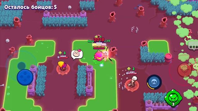 ЦИРК В ШД НА 850 КУБКОВ