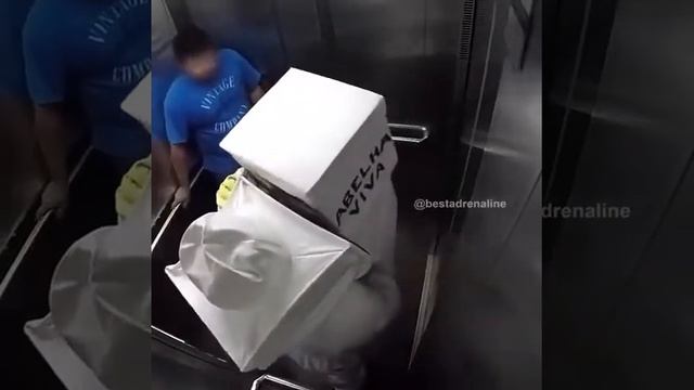 Неуклюжий пчеловод с пчелами в лифте. Угарный пранк!