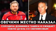 Александр Овечкин ЖЕСТКО ПРОУЧИЛ Сородича Доминика Гашека в матче Вашингтон Монреаль в Плей-офф НХЛ
