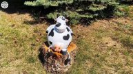 Поделки из цемента своими руками для дачи и сада.