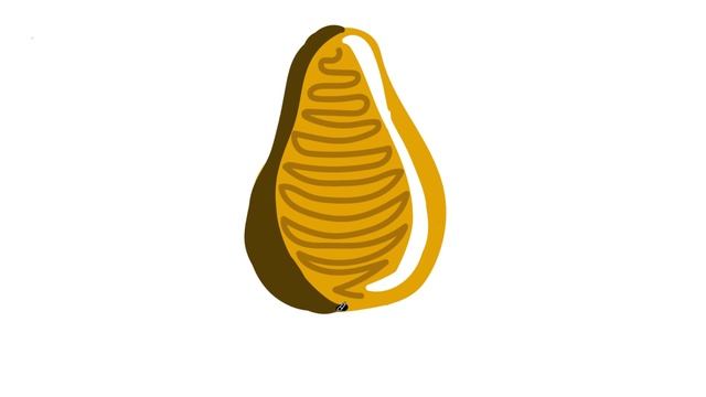 Рисуем груша часть 46
