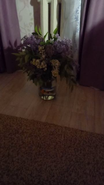 ЗАПАХ СИРЕНИ!!!!
