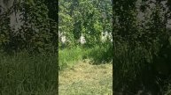 Мир Труд Май готовим шашлыки