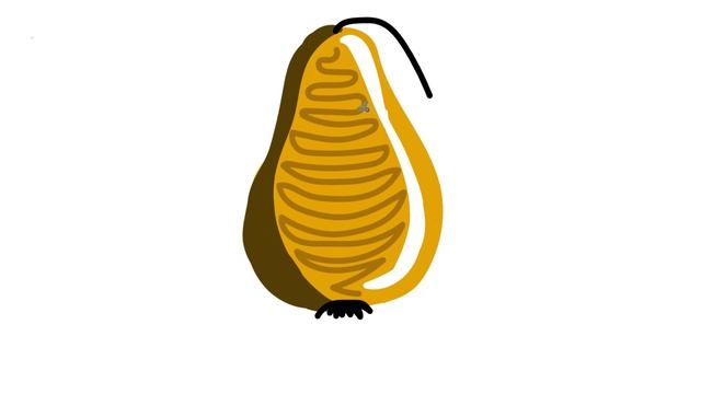 Рисуем груша часть 48