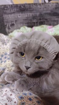 Дитё наше 🥰 😀вот такое красивое