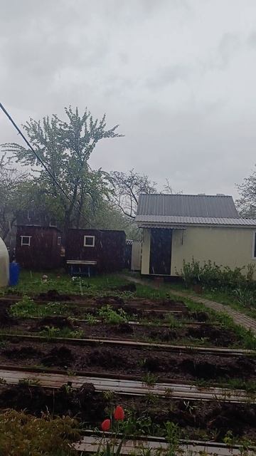 Погода 1 мая в Подмосковье...