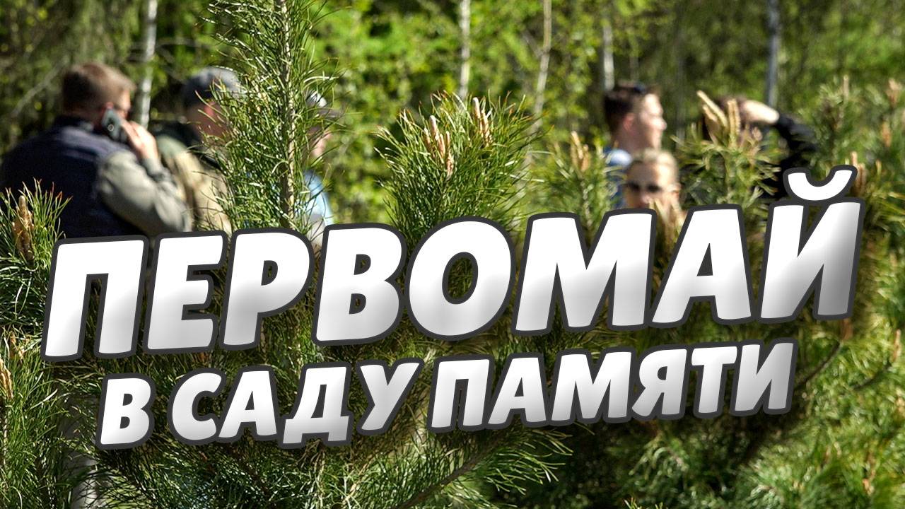 Виталий Хоценко и Сергей Шелест приняли участие в зелёном субботнике