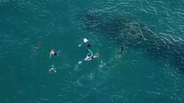 Mavic Pro video, Ponta Molegane, Mozambique