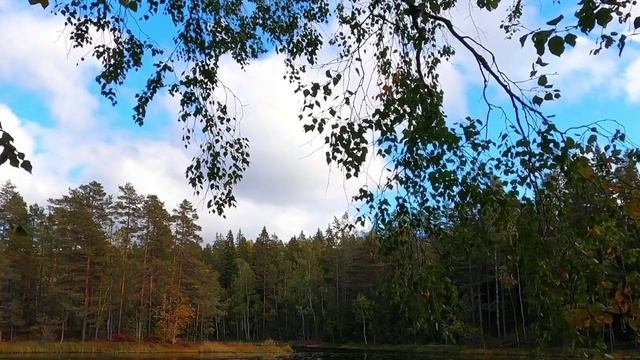Окружающая природа. Позитивные эмоции от красот осени. Релаксируй и медитируй под видео.