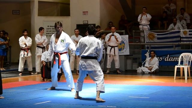 Ippon karate tradicional Ricardo Buzzi