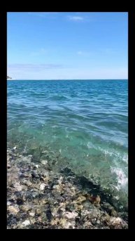 Берег чёрного моря
