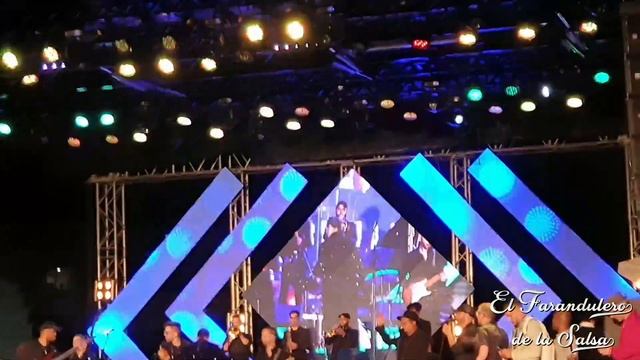Festival de la Salsa 2023 - Alain Perez - Shorcito