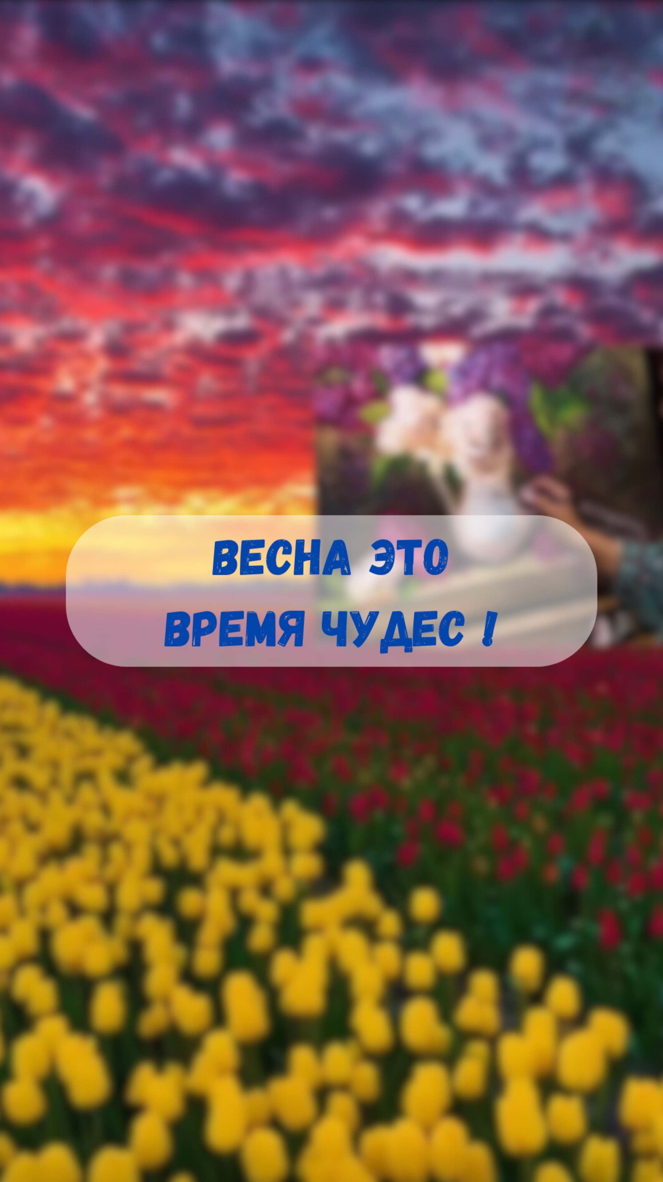 #художник #ольгабазанова #картинамаслом #искусство #картина #пишеммаслом
