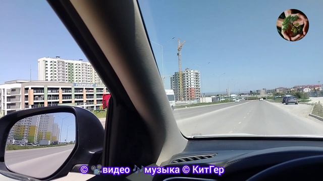 Город в городе
Горгиппия