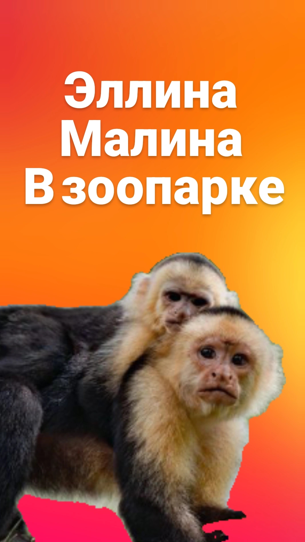Маленькие обезьянки.В зоопарке