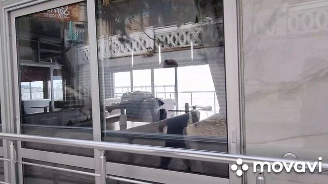 в Ялте все цветёт, Первомай, Массандровский пляж открыли, Радоница