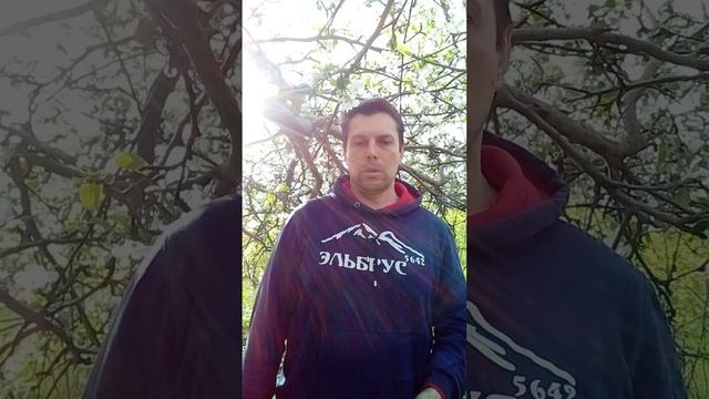 20250501_171911.mp4