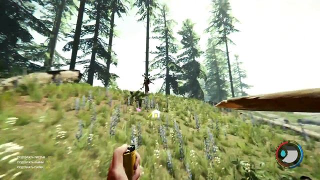 Розбираю  сюжет гри The Forest (українською)