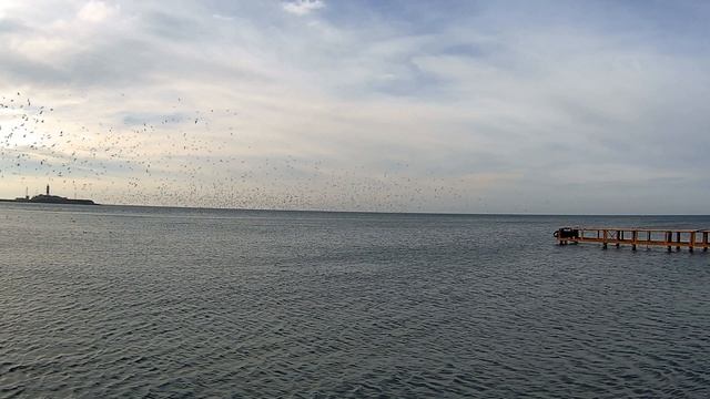 Прогулка по пляжу Утриш Наслаждаюсь звуками и красотой моря