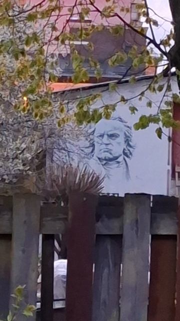 Это что за чудо?