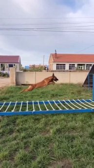 wt a High jump 🤯😱 # shorts