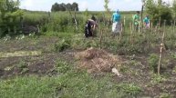 На огородчике трудится паства. Православный лагерь-стан. 2016