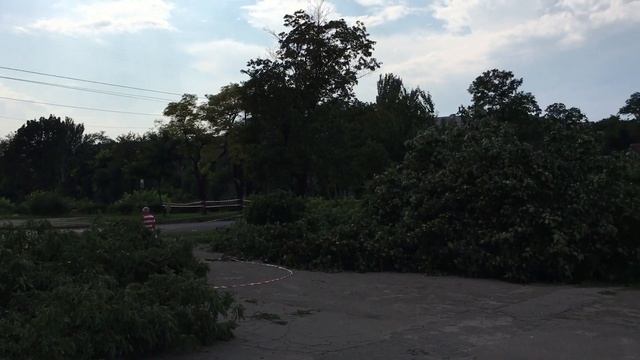Украина 🇺🇦 Запорожье,уничтожение зелёного парка Яланского