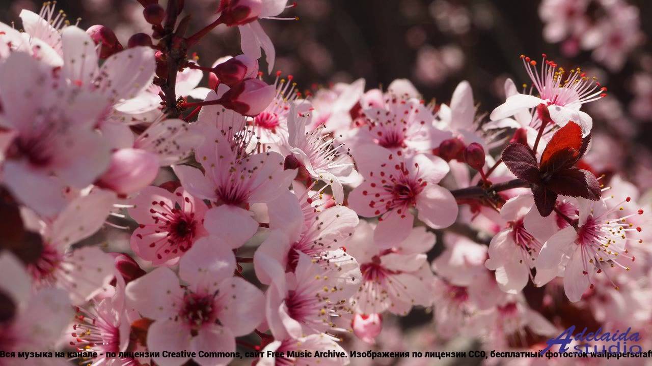 ❤ ❤ ❤ Песня, под которую выросло поколение - Particles And Waves (Short 2 Version) -- BoDleasons --