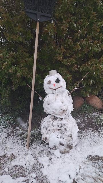 Вот такой вот маевичок...😁❄️☃️